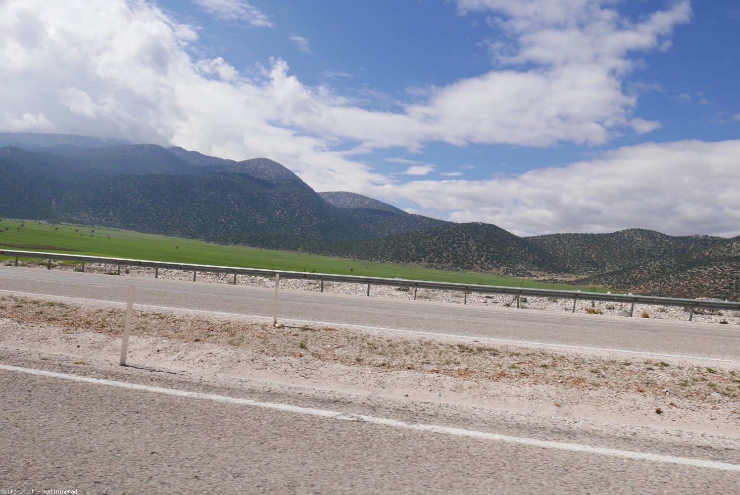 193132-l1000096.jpg