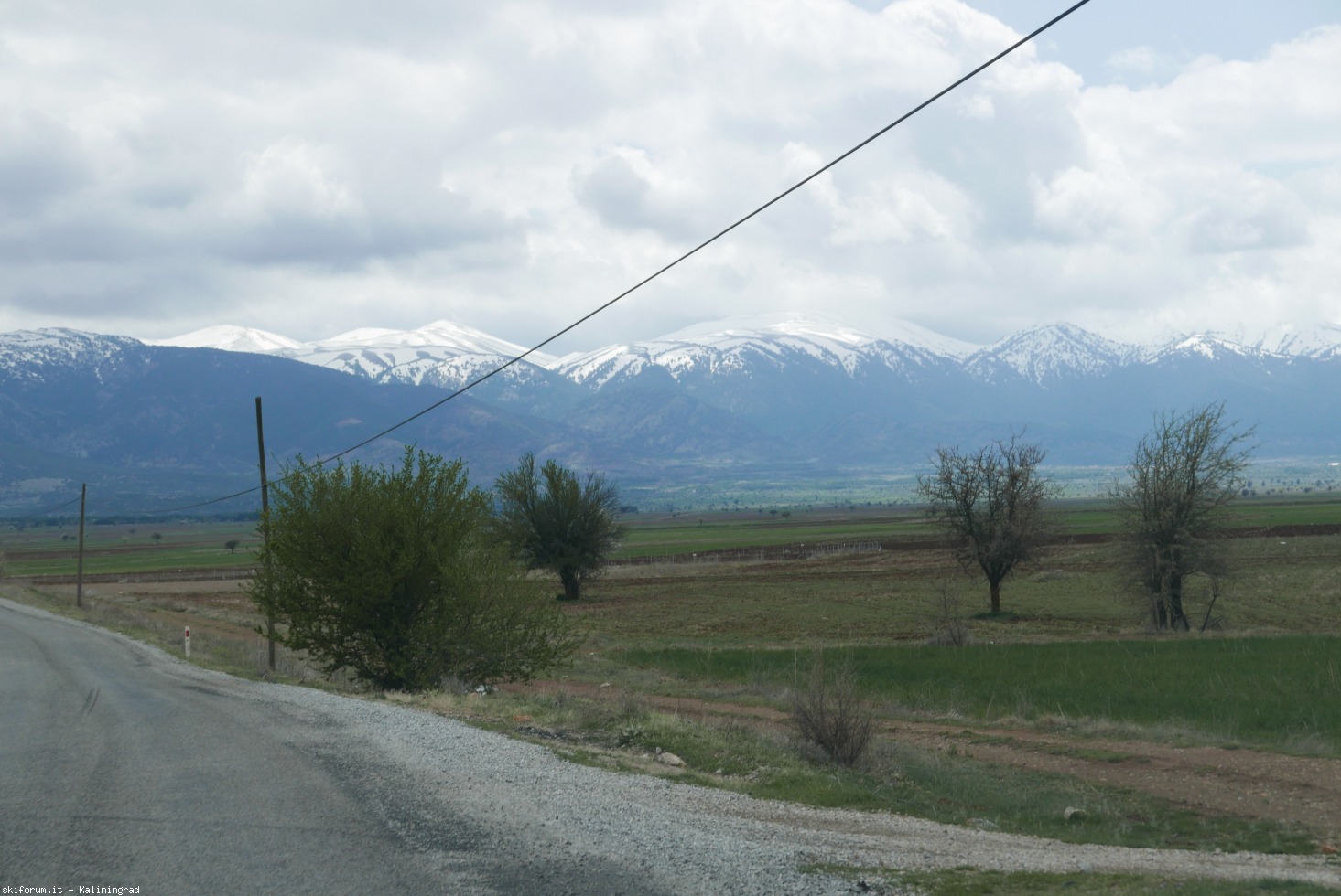 193140-l1000104.jpg