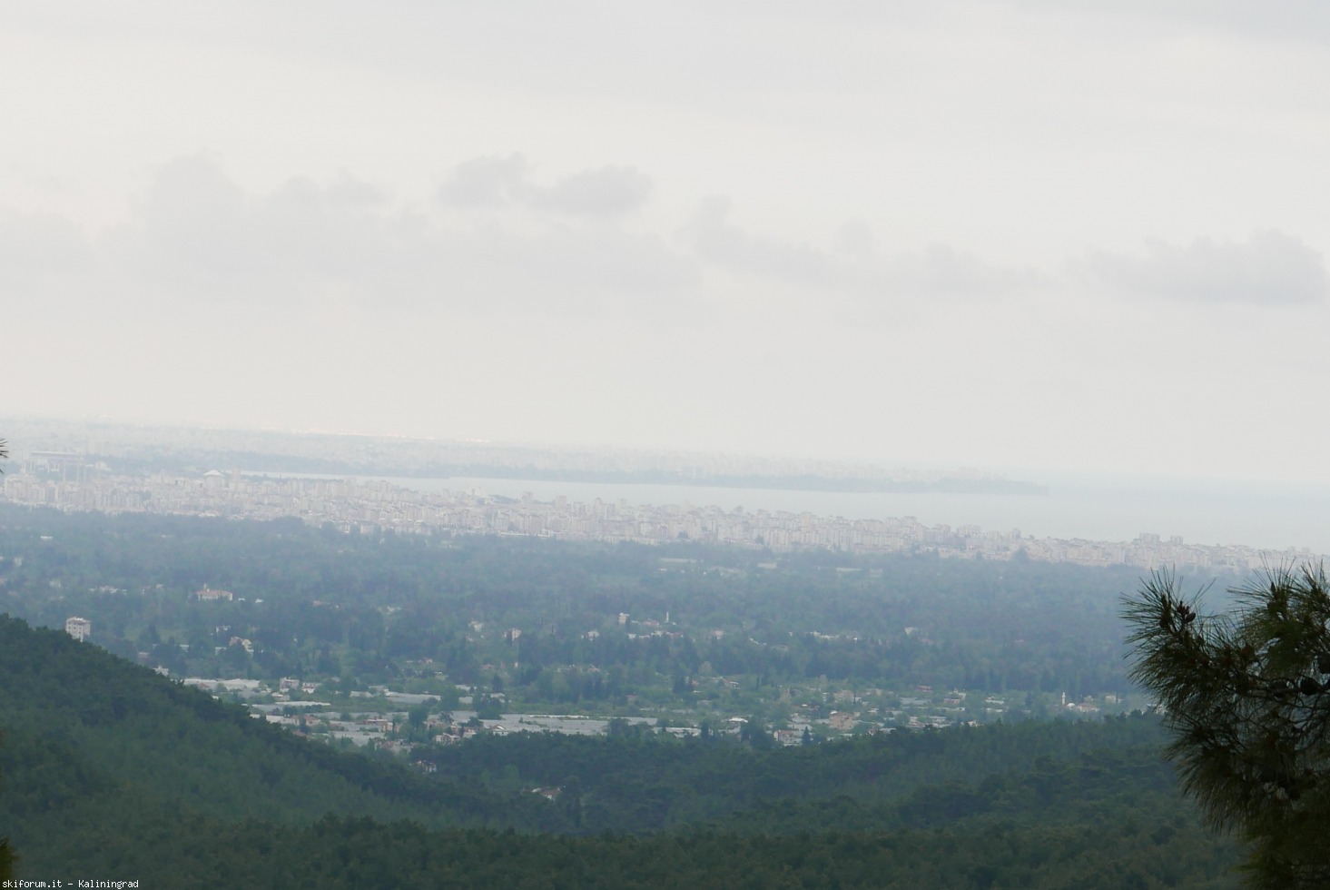 193186-l1000160.jpg