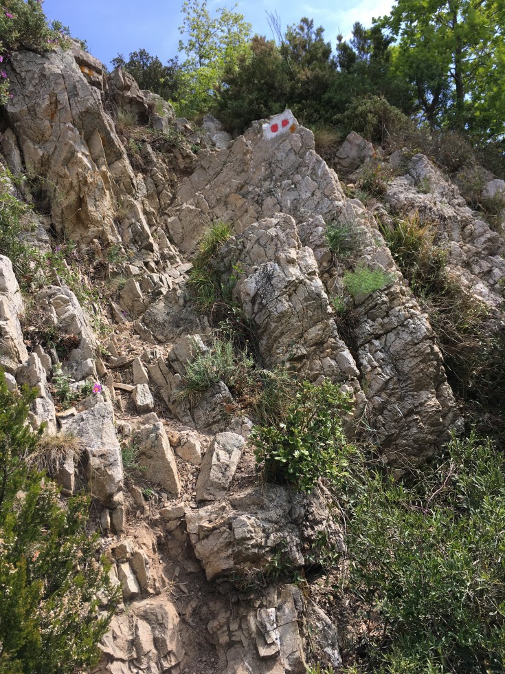 193420-img0606.jpg