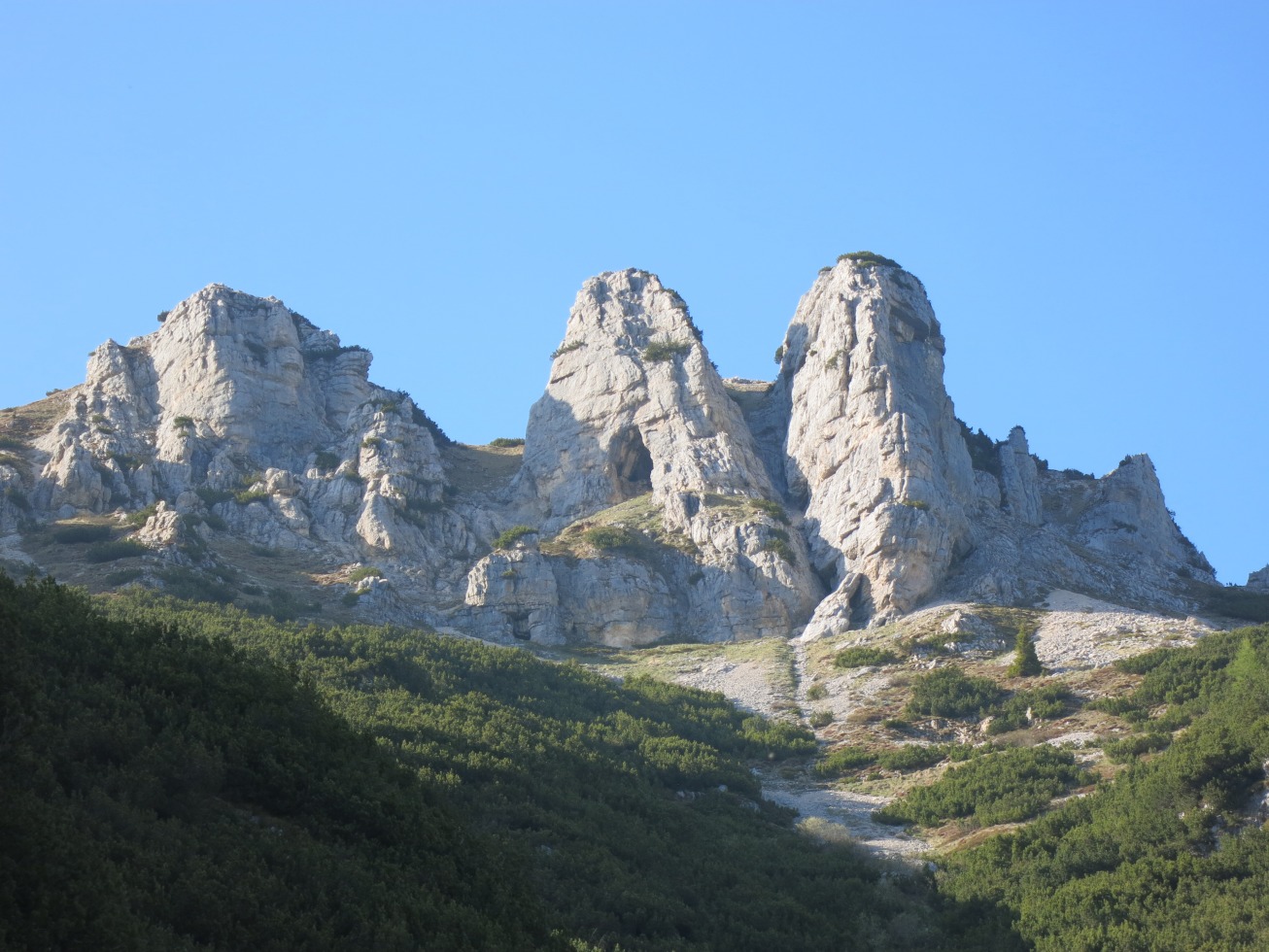 194857-img7304.jpg