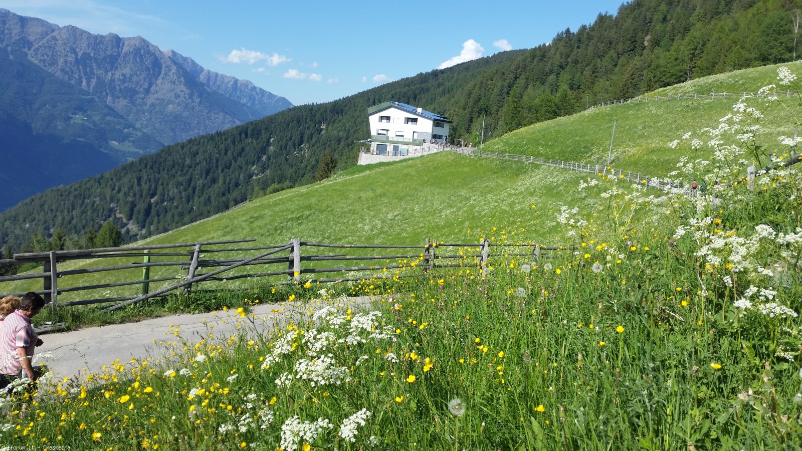 194890-aschbach-20170528172059.jpg