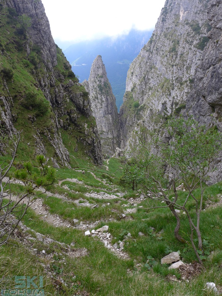 195026-fontanaoro-pasubio-021.jpg