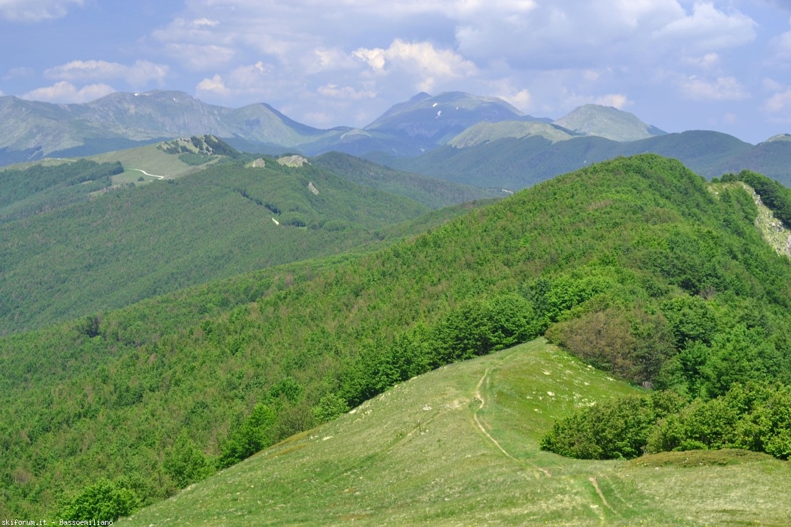 195065-dsc0056-medium.jpg