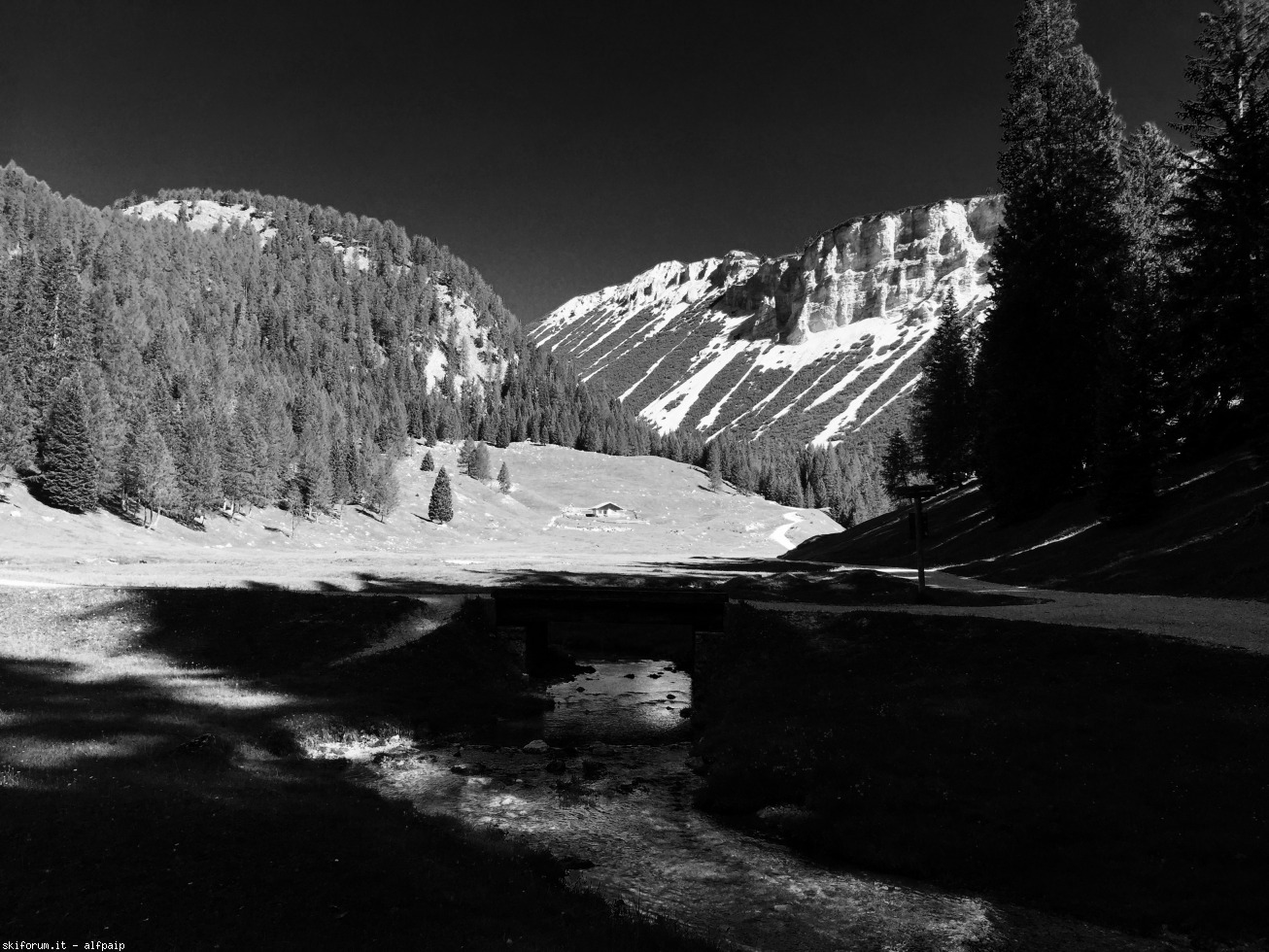 195197-monte-lavinores-dolomiti-d-ampezzo-13-06-2017-2017-06-13-lavinores-5.jpg