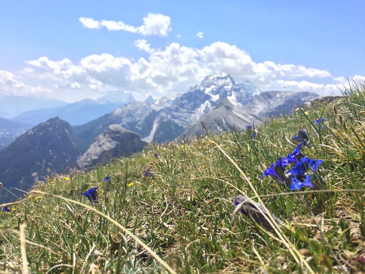 195210-monte-lavinores-dolomiti-d-ampezzo-13-06-2017-2017-06-13-lavinores-12.jpg