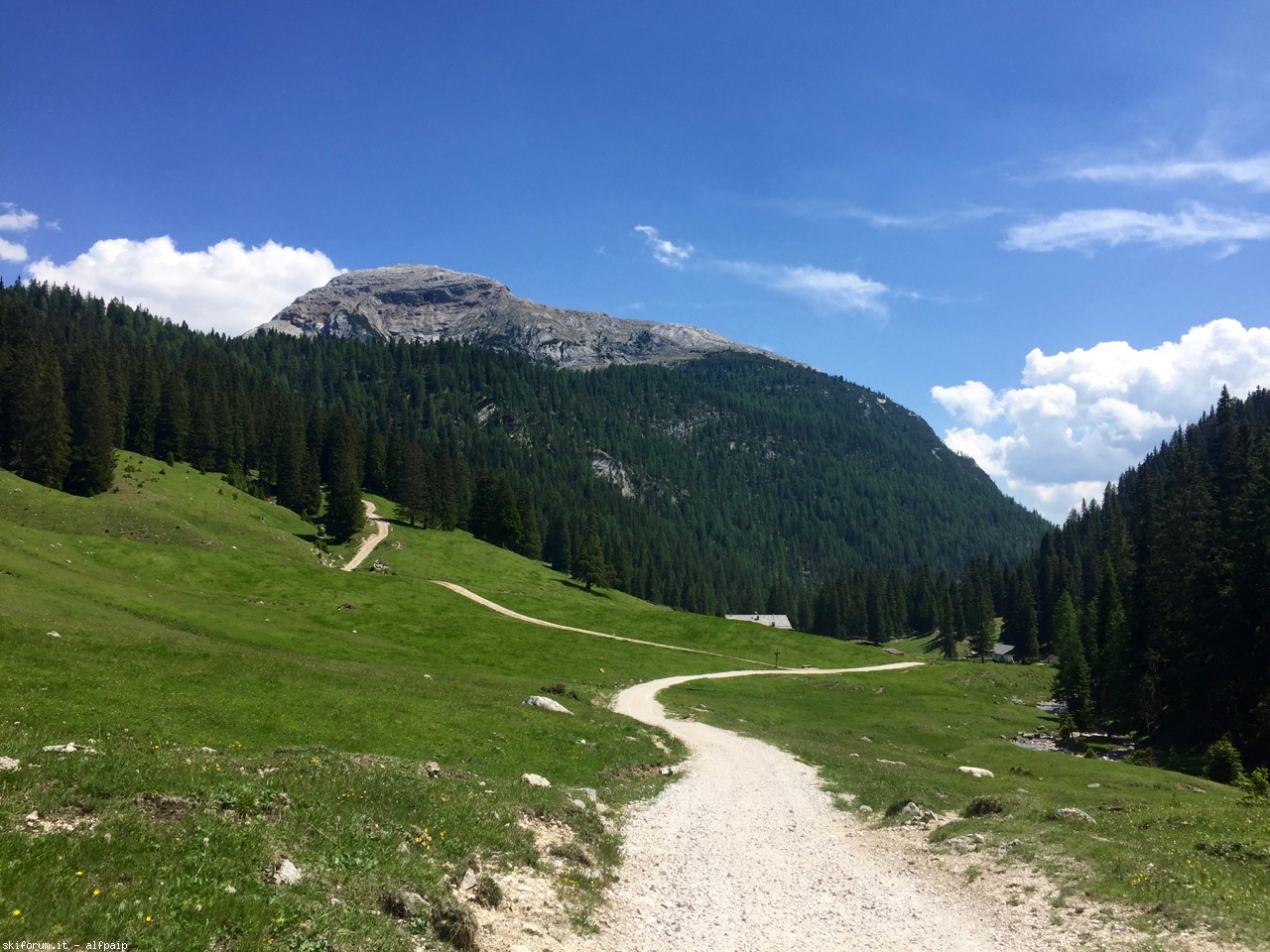 195211-monte-lavinores-dolomiti-d-ampezzo-13-06-2017-2017-06-13-lavinores-13.jpg