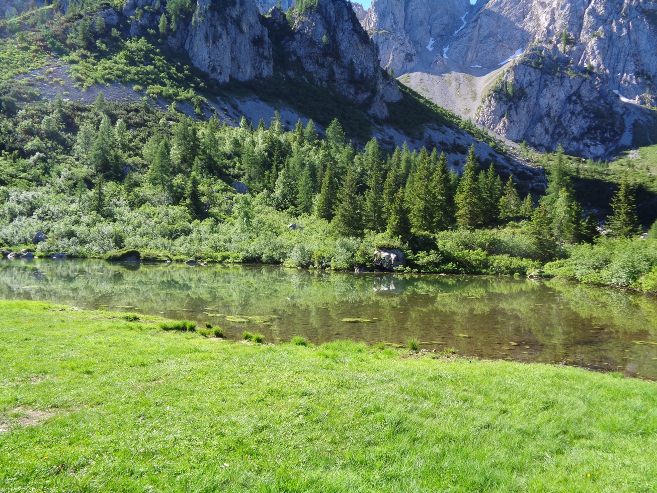 195965-cimone-della-bagozza-dsc00085.jpg