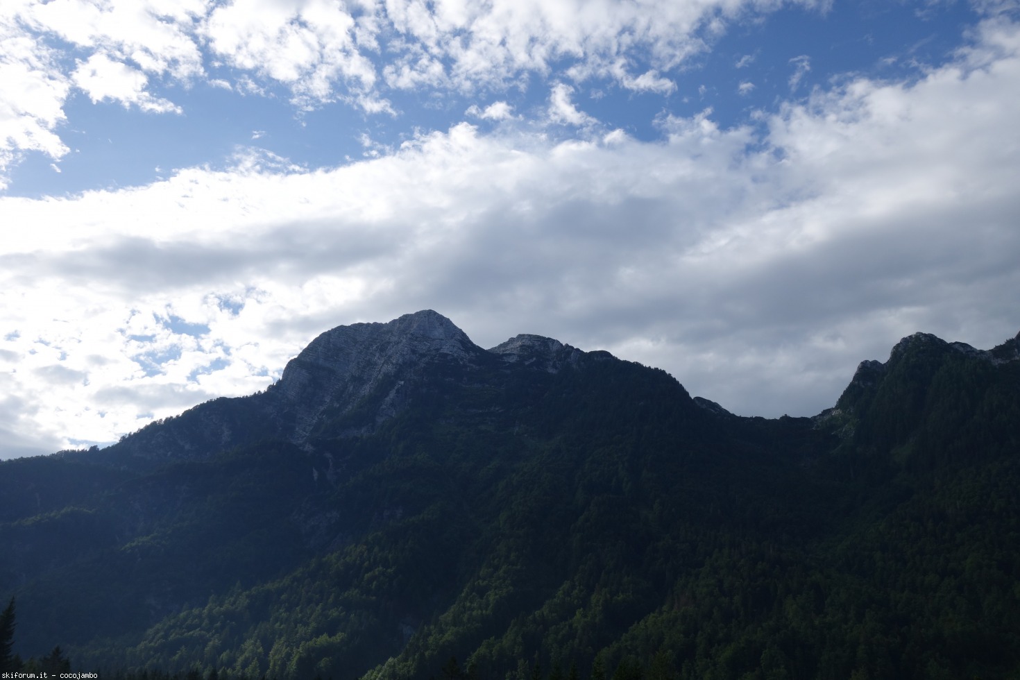196110-dsc02588.jpg