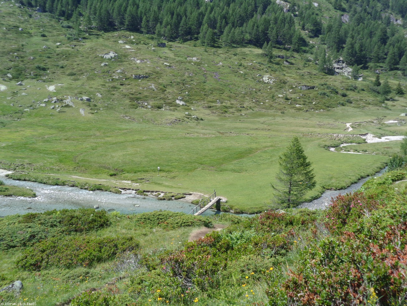 196411-val-di-fumo-dsc00127.jpg