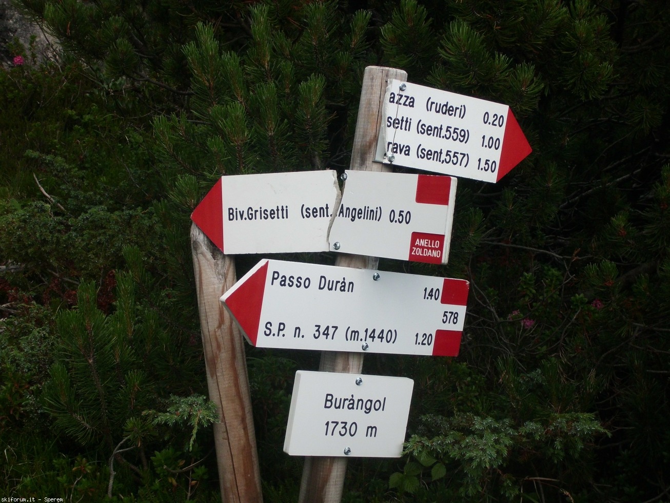 196592-trekking-moiazza-civetta-cimg2615.jpg