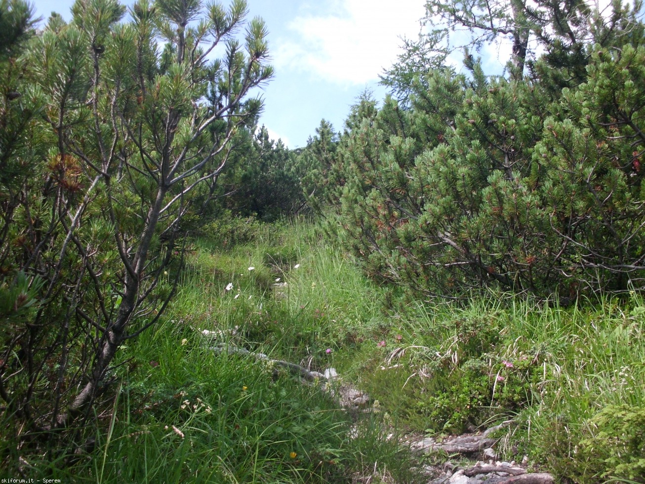 196593-trekking-moiazza-civetta-cimg2616.jpg
