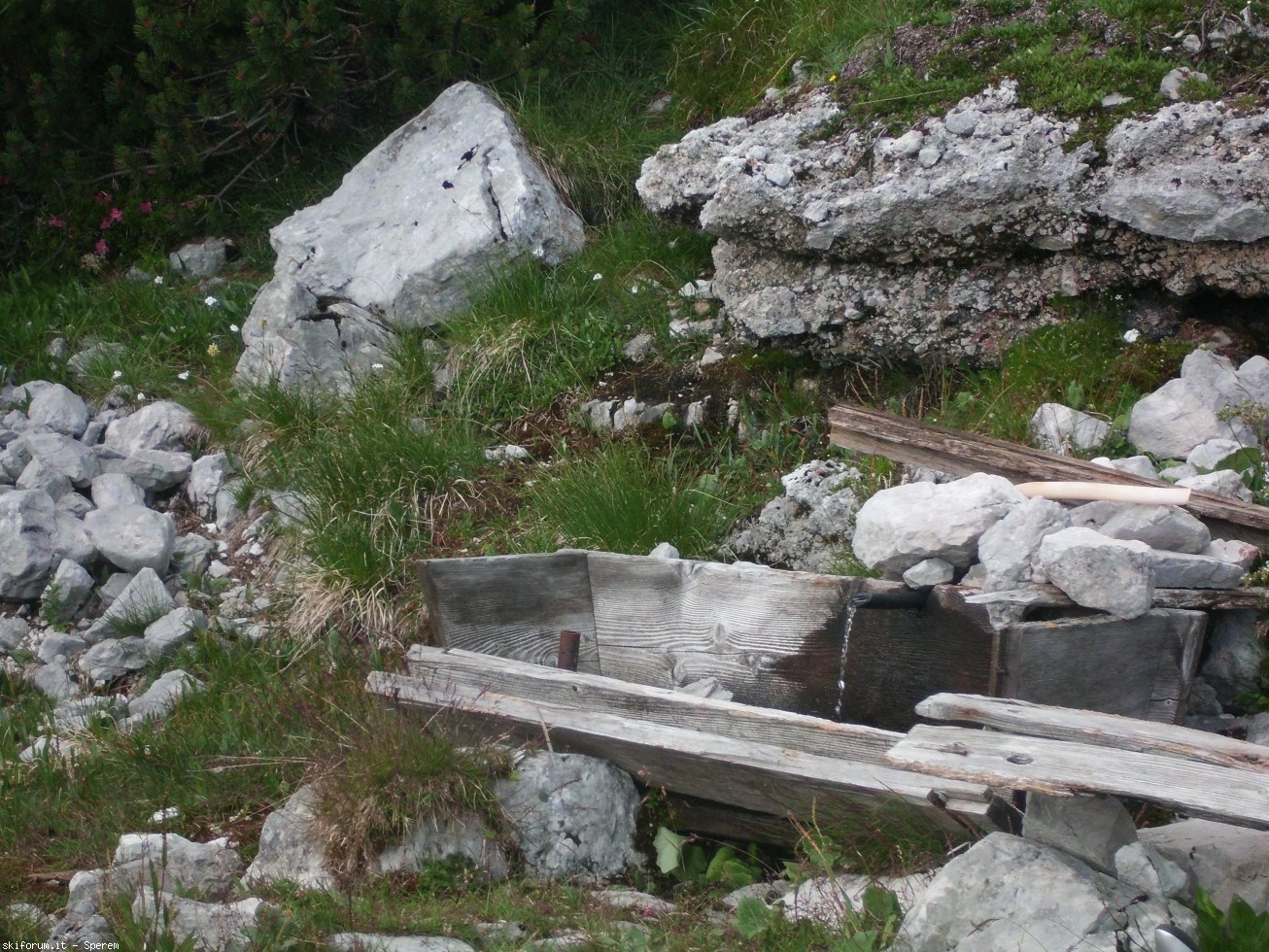 196610-trekking-civetta-2-cimg2634.jpg