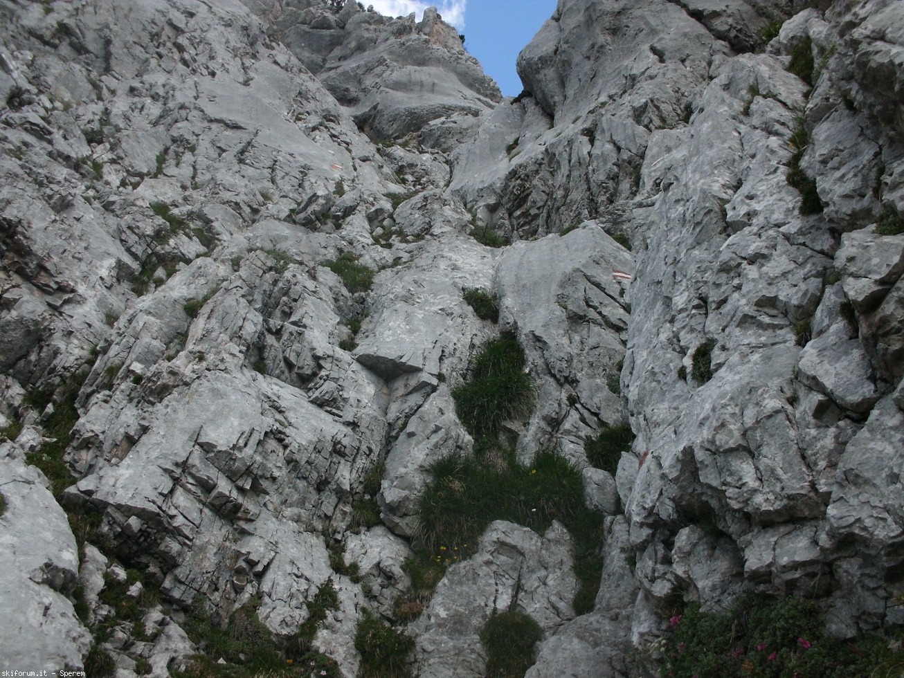 196612-trekking-civetta-2-cimg2637.jpg