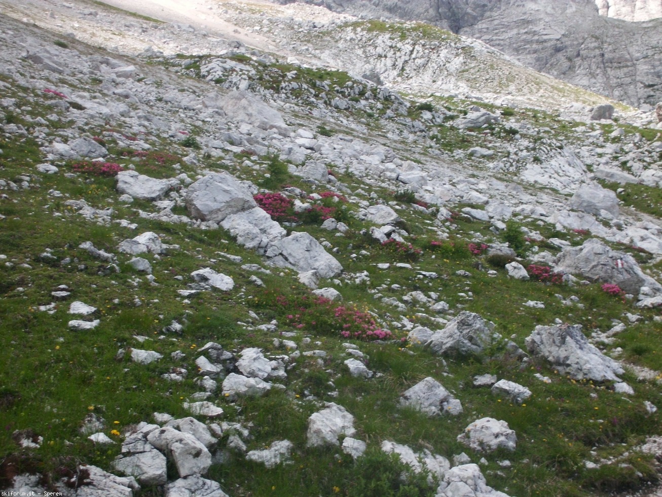 196645-trekking-civetta-4-cimg2674.jpg