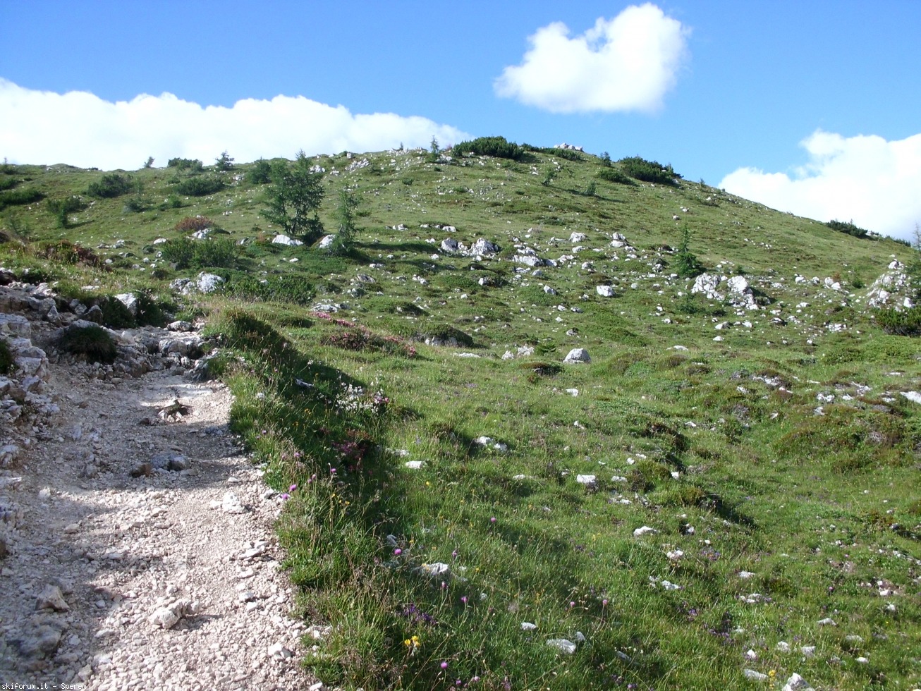 196720-trekking-6-civetta-cimg2733.jpg