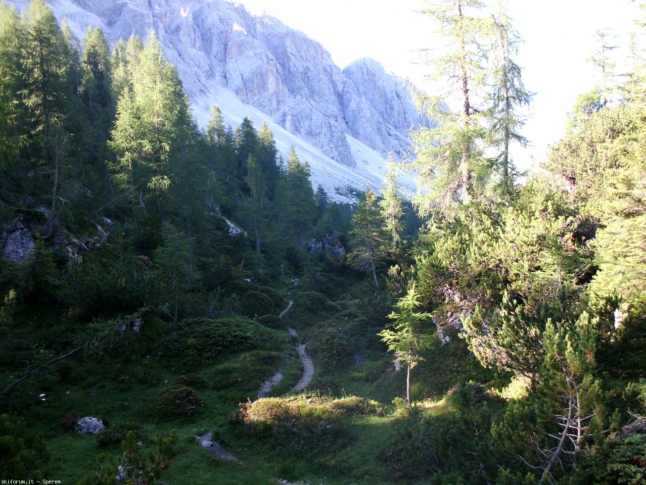 196730-trekking-7-civetta-cimg2743.jpg