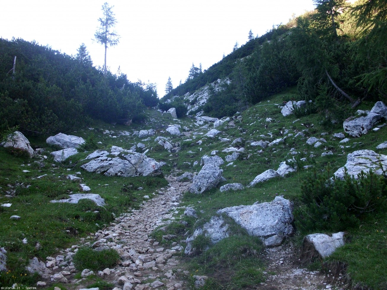 196738-trekking-7-civetta-cimg2755.jpg
