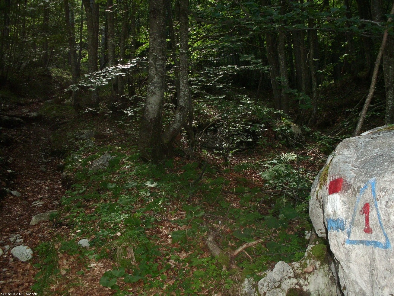 196776-trekking-civetta-8-cimg2798.jpg
