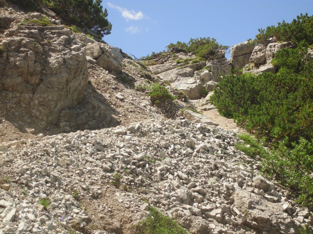 196783-trekking-civetta-9--cimg2805.jpg