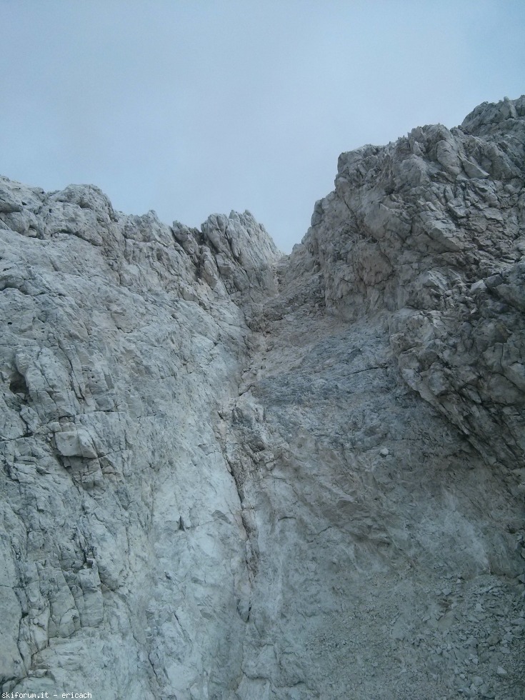 197300-pale-di-san-martino-1-img20170730103006-copy.jpg