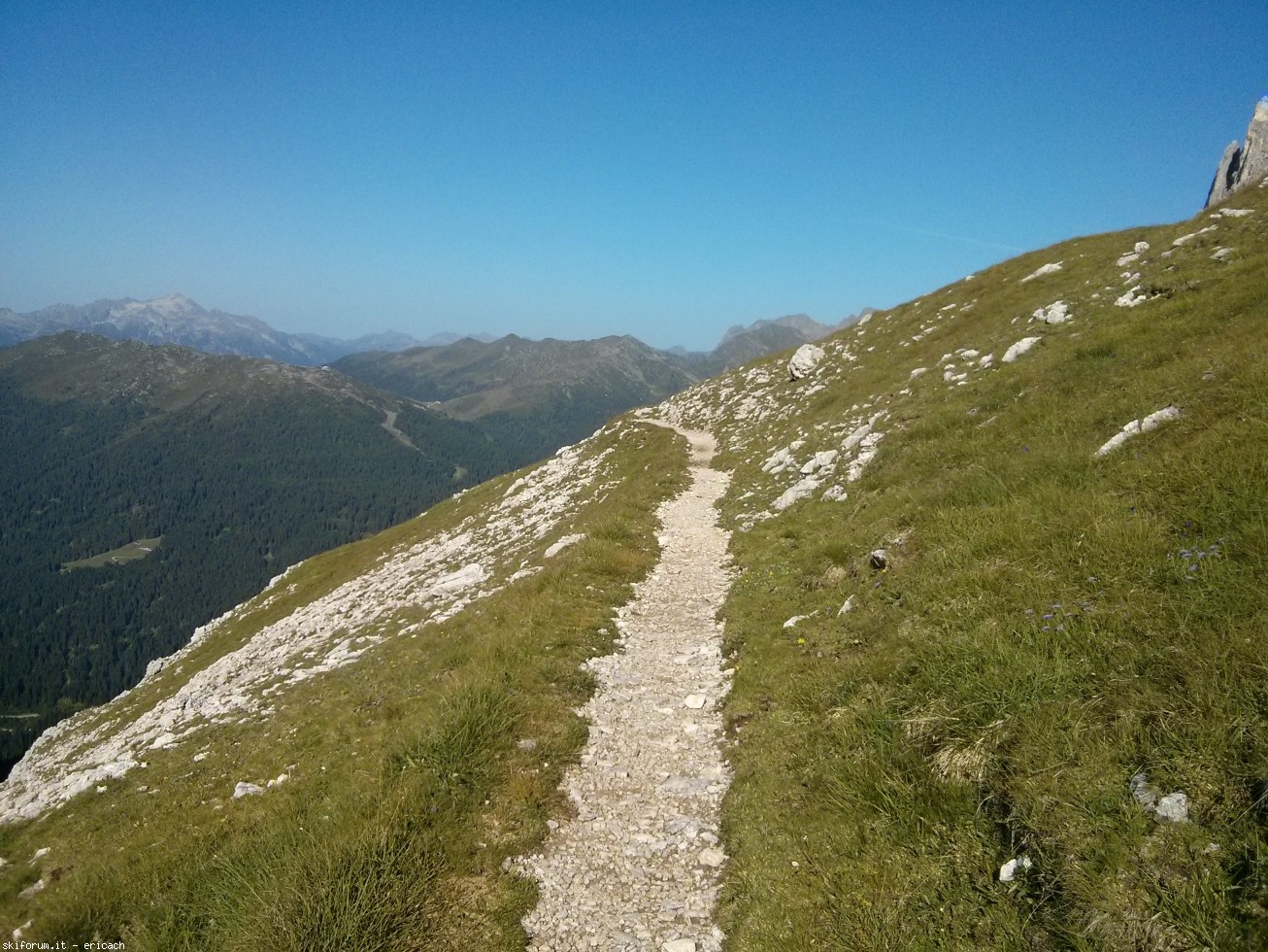 197330-pale-di-san-martino-3-img20170731085809-copy.jpg