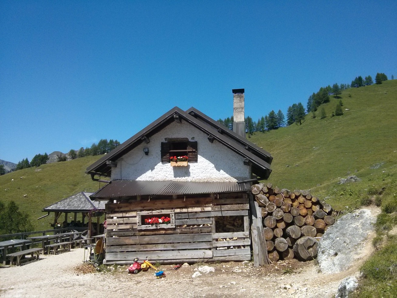 197336-pale-di-san-martino-3-img20170731122644-copy.jpg