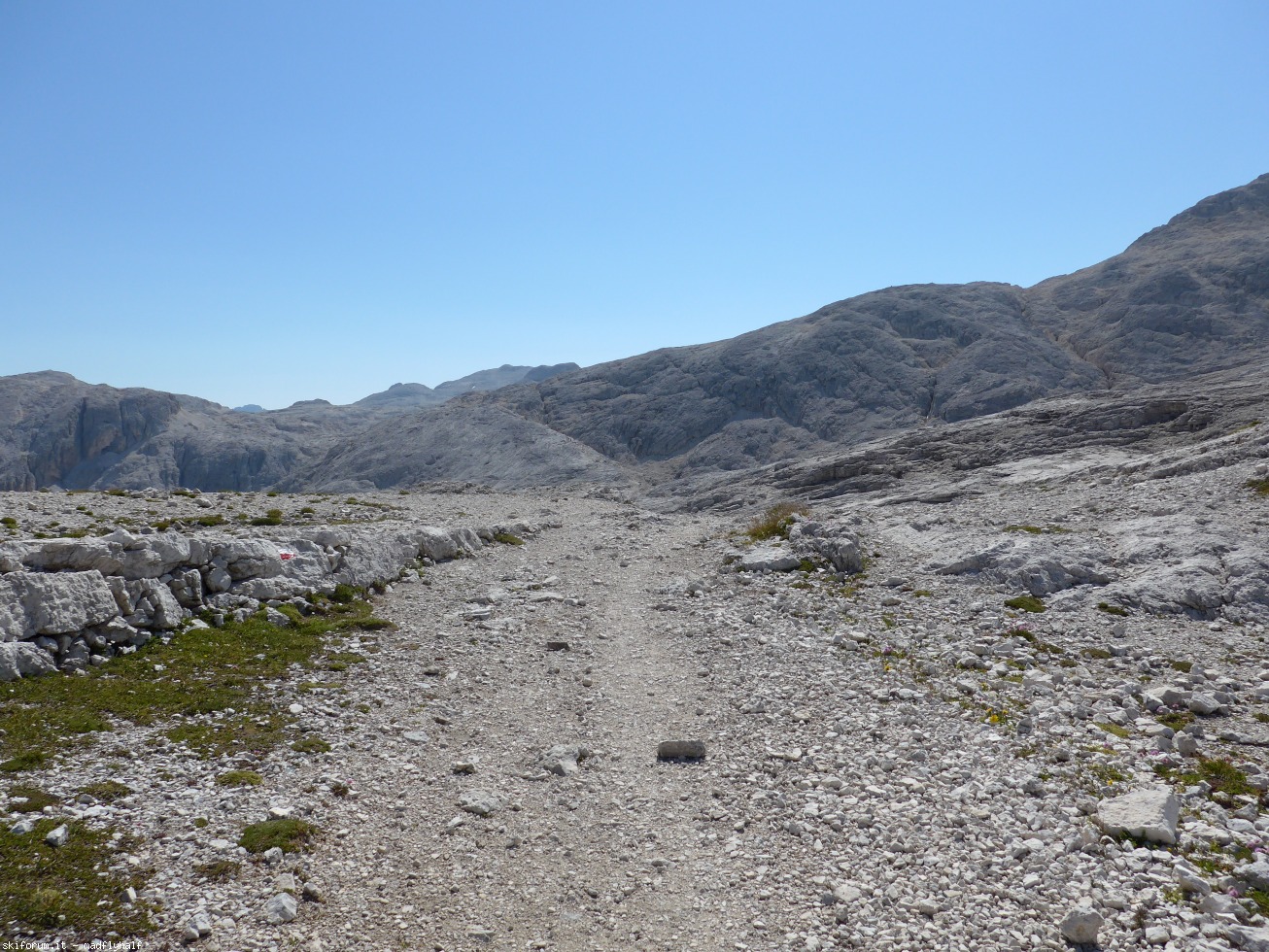 197339-altopiano-delle-pale-di-san-martino-p1020058.jpg