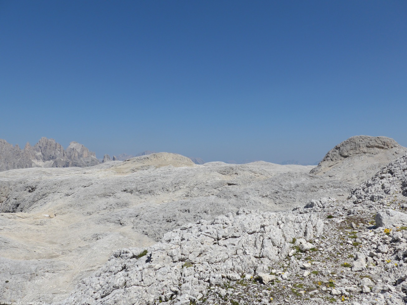 197345-altopiano-delle-pale-di-san-martino-p1020082.jpg
