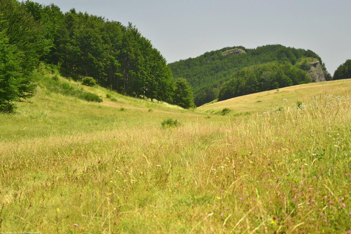 197884-dsc0046.jpg