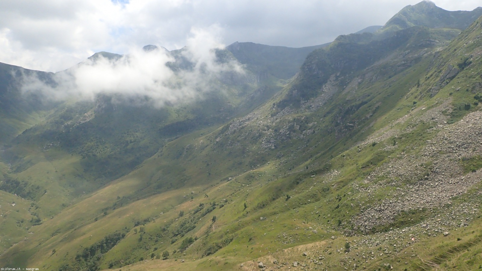 197961-p8031593.jpg