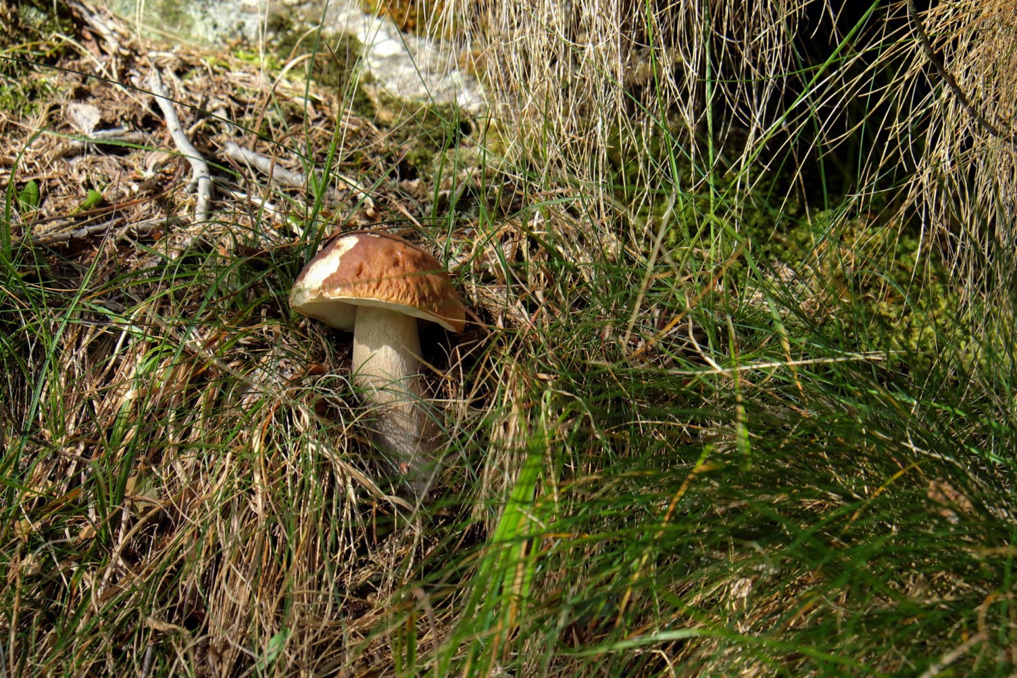 198554-dscf6968.jpg