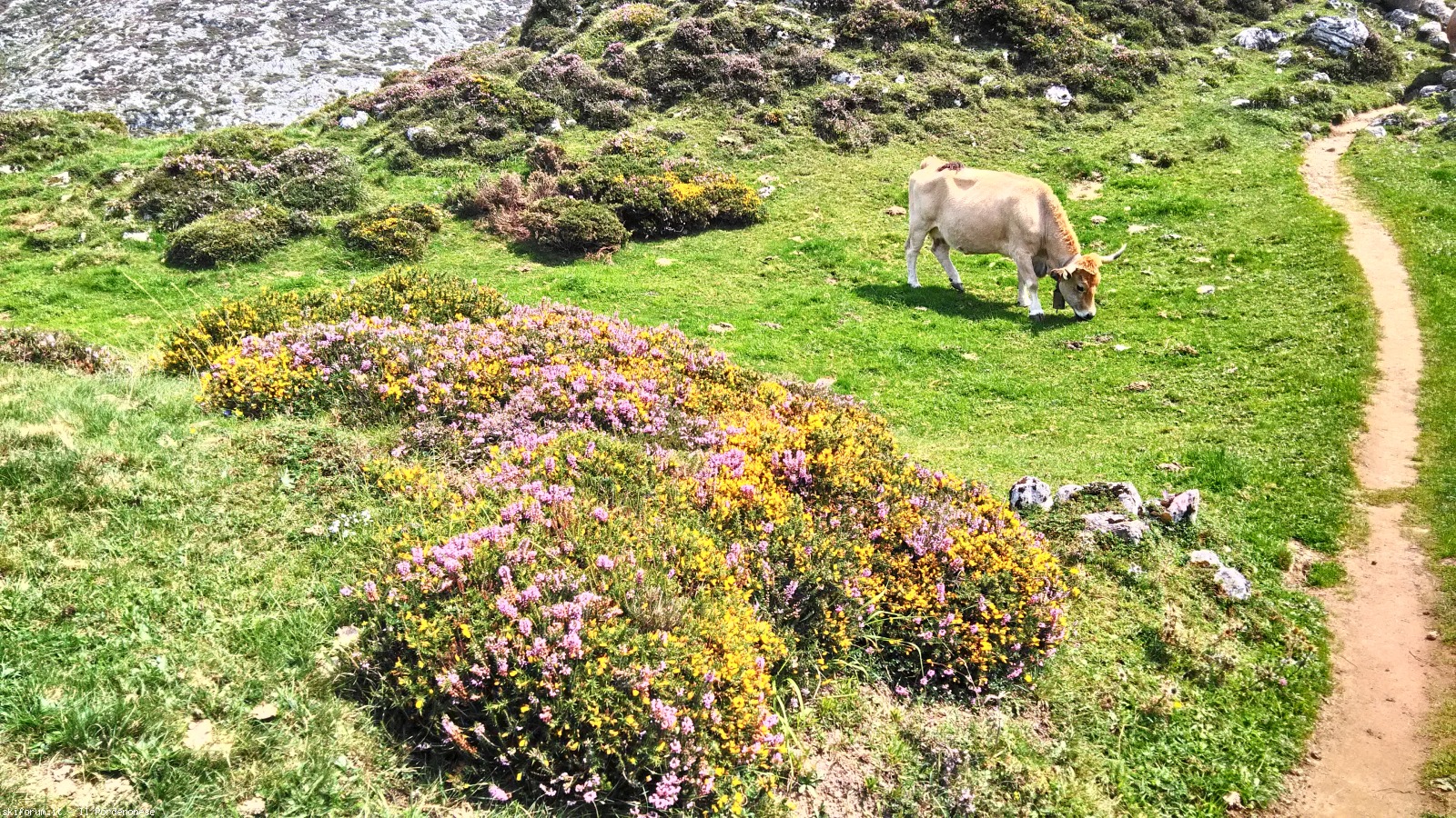 198802-picos-de-europa-p20170814134846hdr.jpg