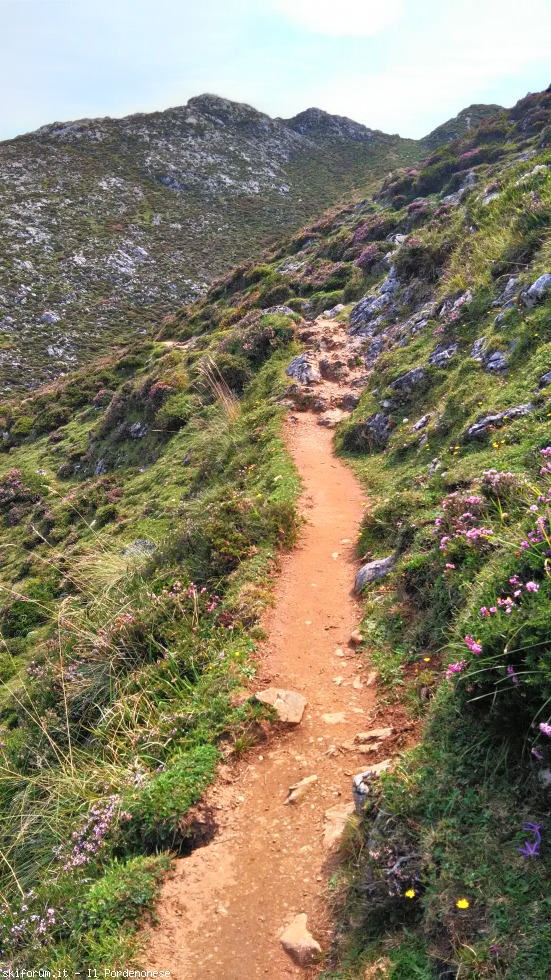 198804-picos-de-europa-p20170814133246hdr.jpg