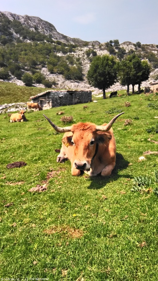 198805-picos-de-europa-p20170814132021hdr.jpg