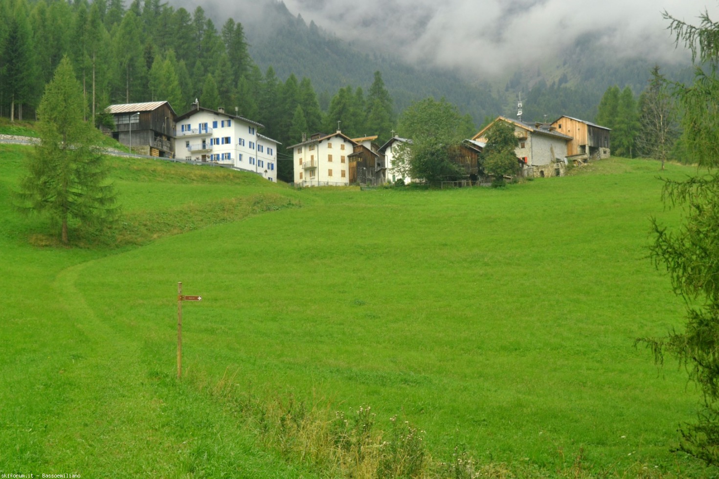199579-dsc0149-large.jpg