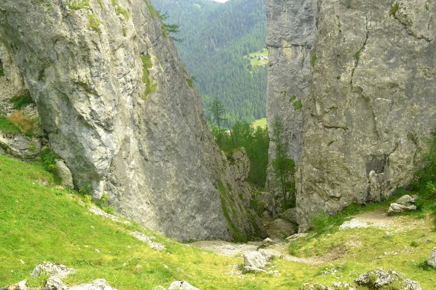 199586-dsc0206-large.jpg