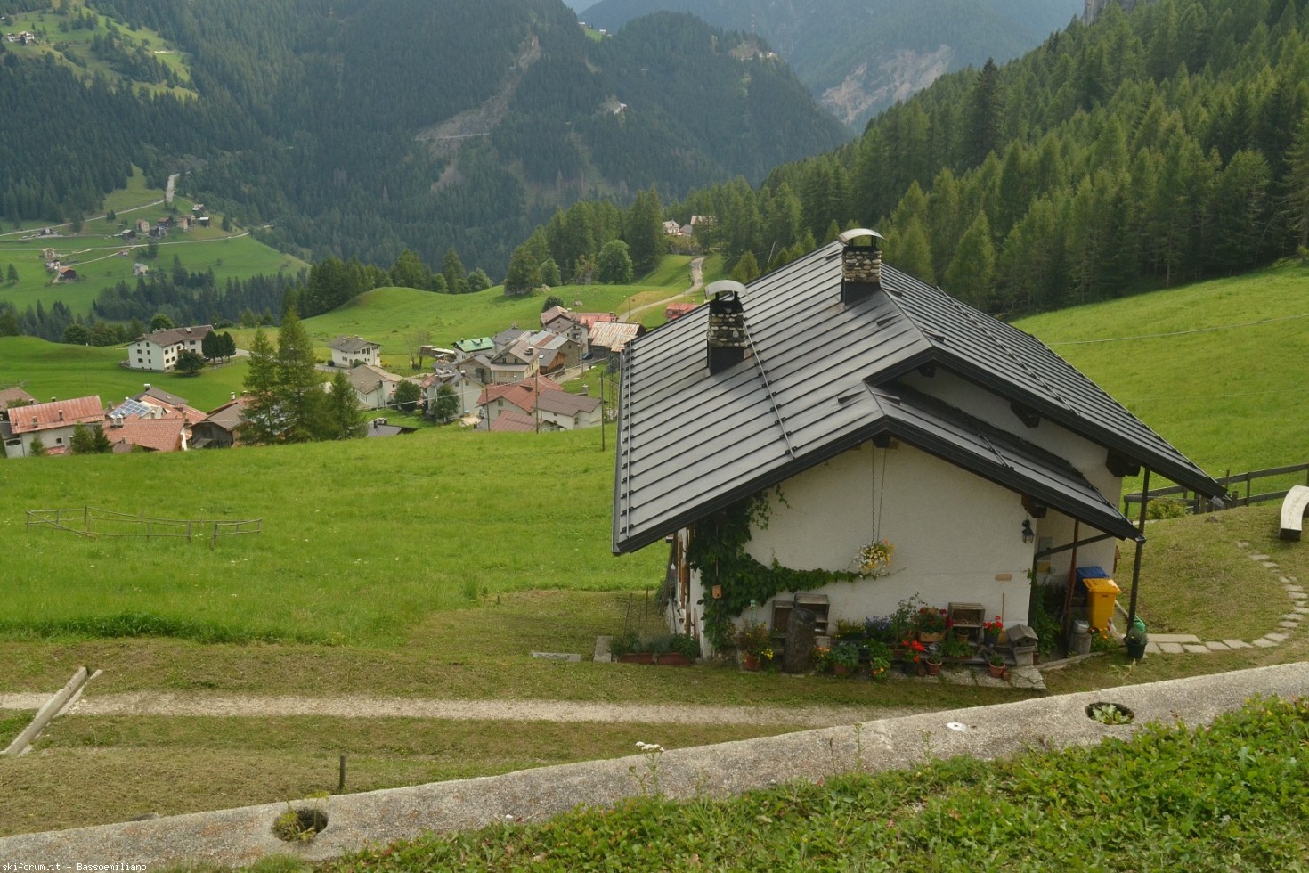 199588-dsc0221-large.jpg