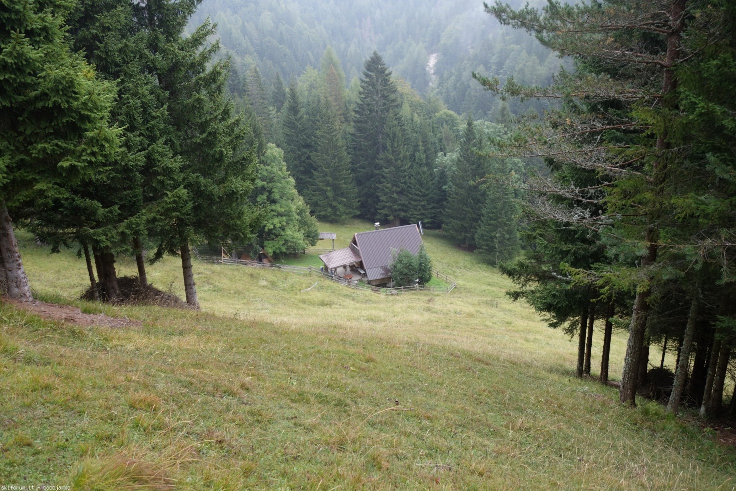 200161-dsc04217.jpg
