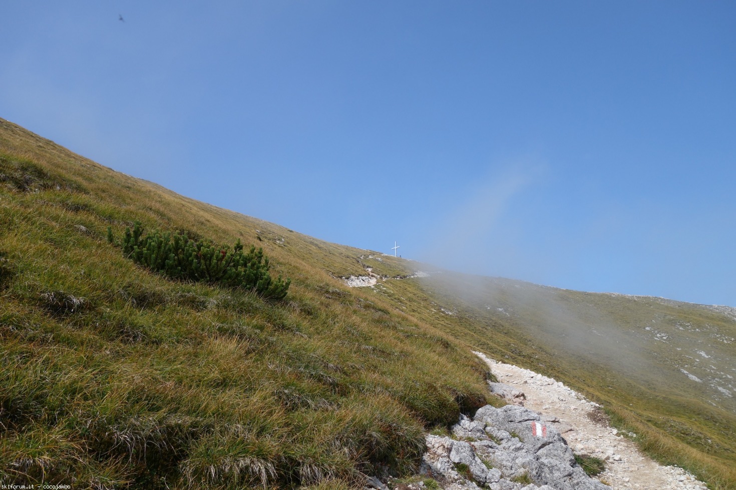 200192-dsc04316.jpg