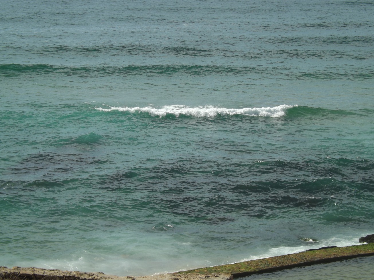 200511-dscf4331.jpg