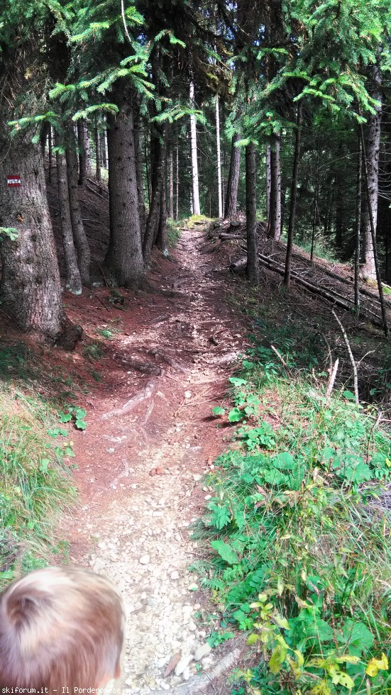 200590-rif.-chiggiato-p20170923103829hdr.jpg