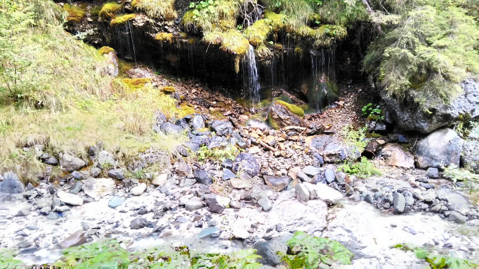 200591-rif.-chiggiato-p20170923094244hdr.jpg