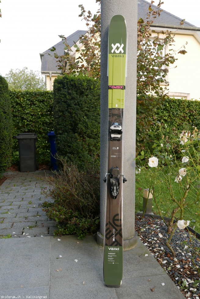 201097-l1000748.jpg