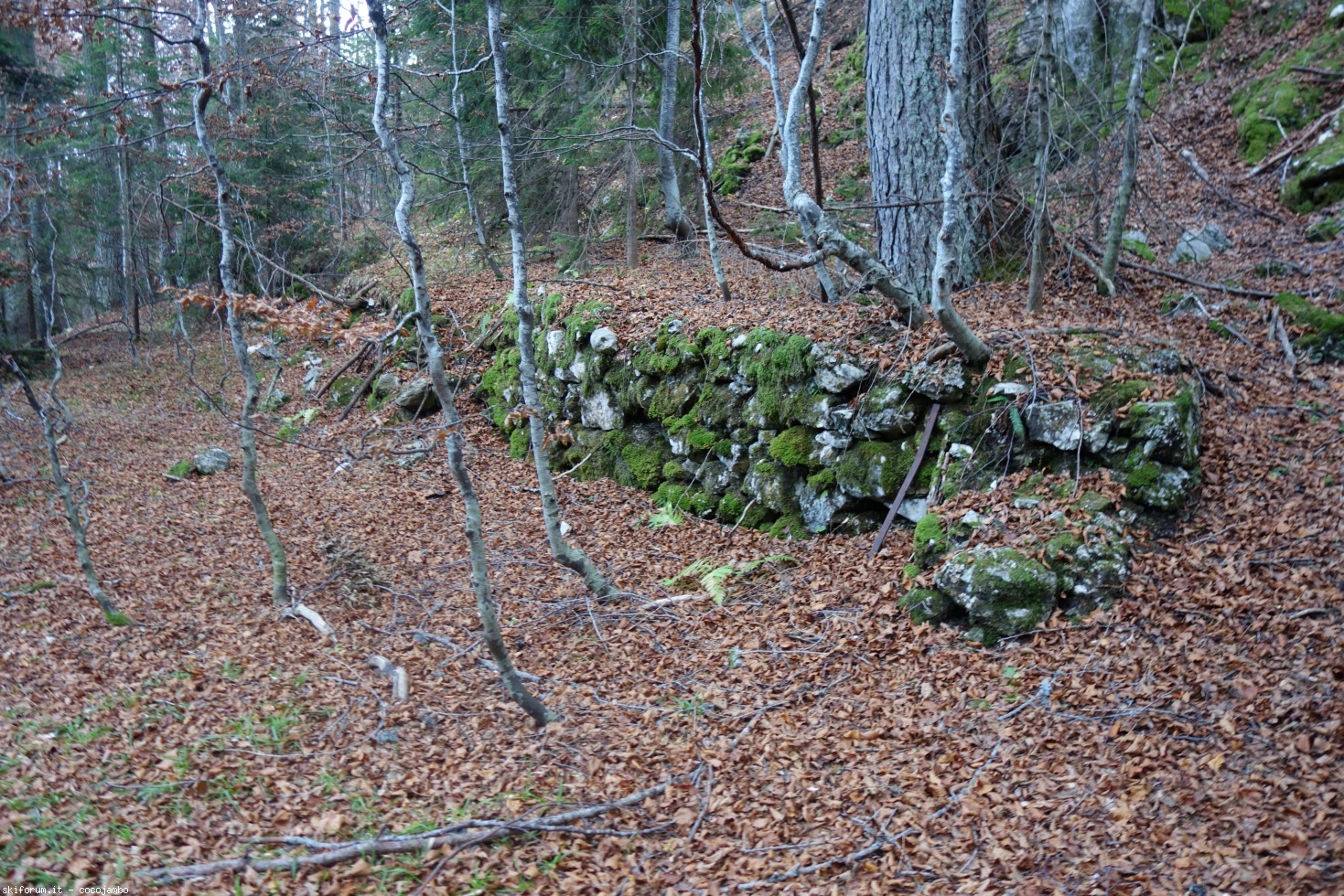 202265-dsc06629.jpg