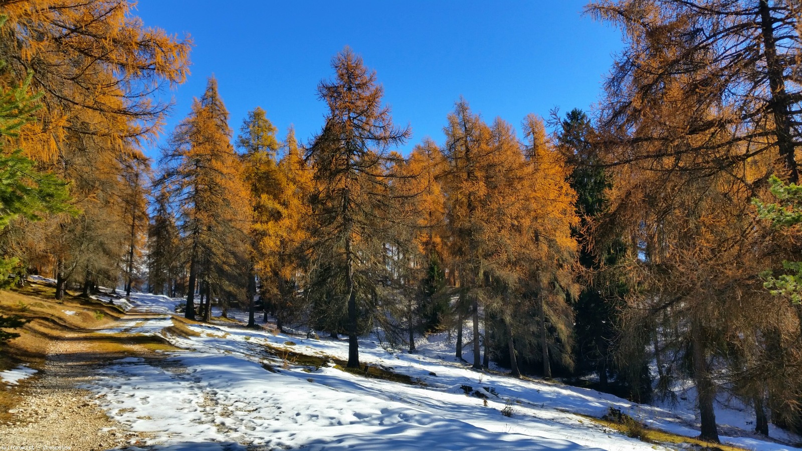 203590-2017-11-18-22.26.48.jpg