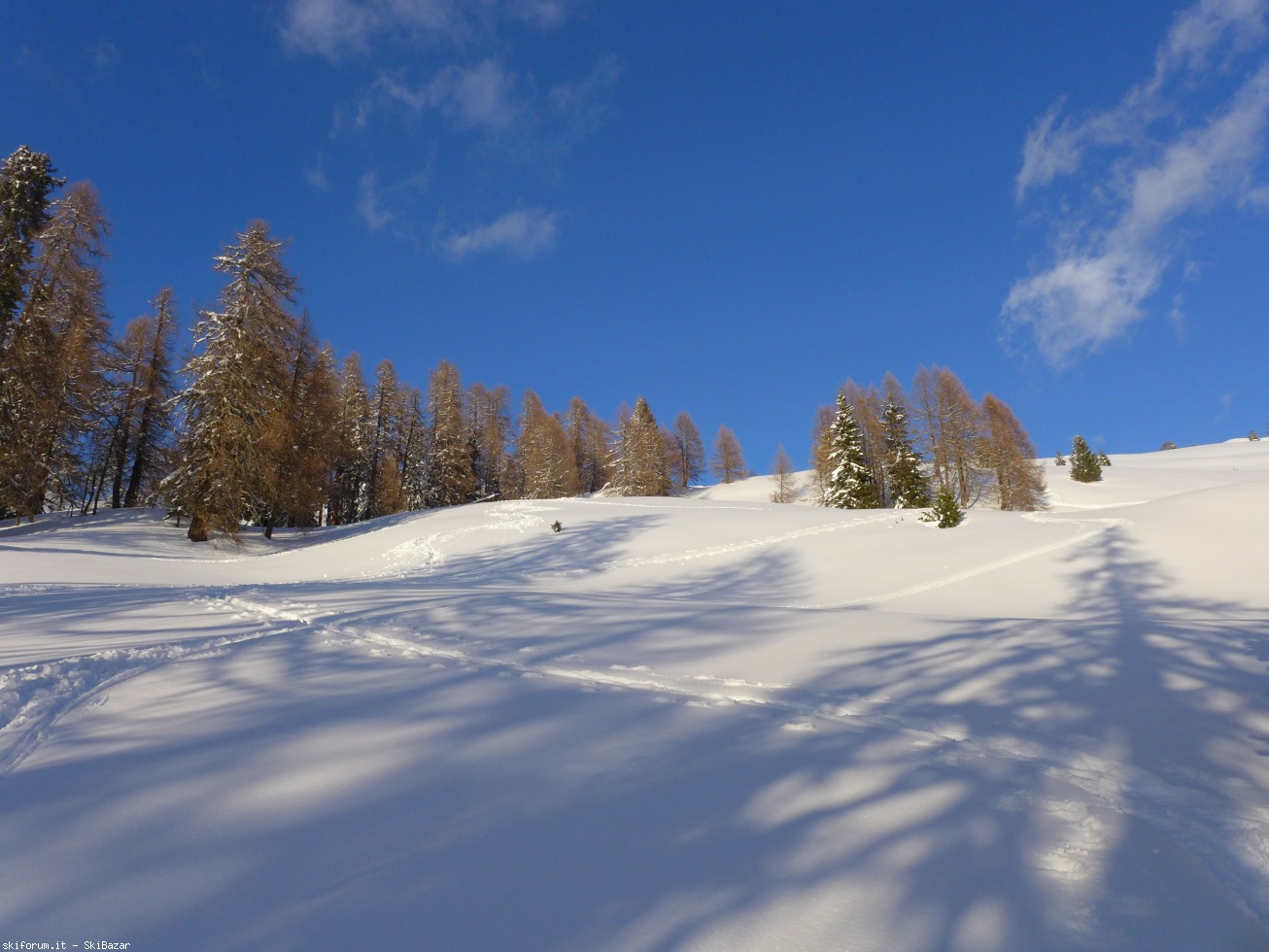 203719-val-venegia-skialp-p1220708.jpg