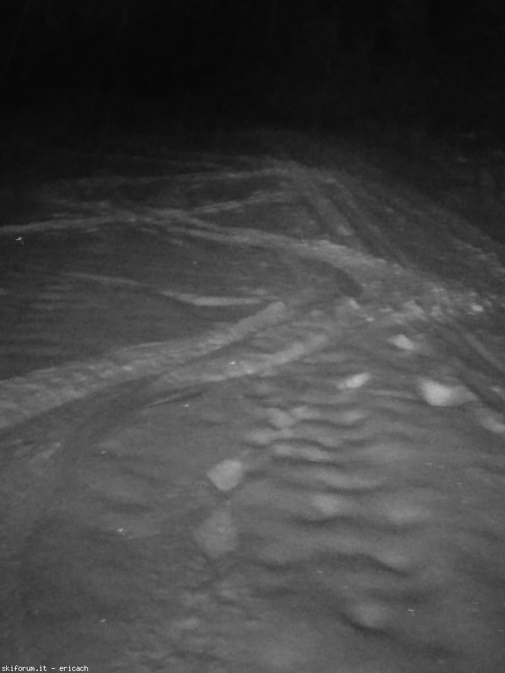 204231-img20171129193408hht-01.jpeg