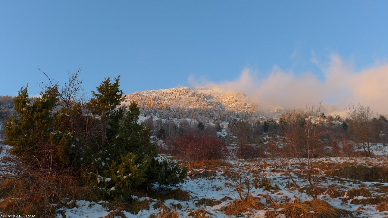 204257-prealpi-neve-03.jpg