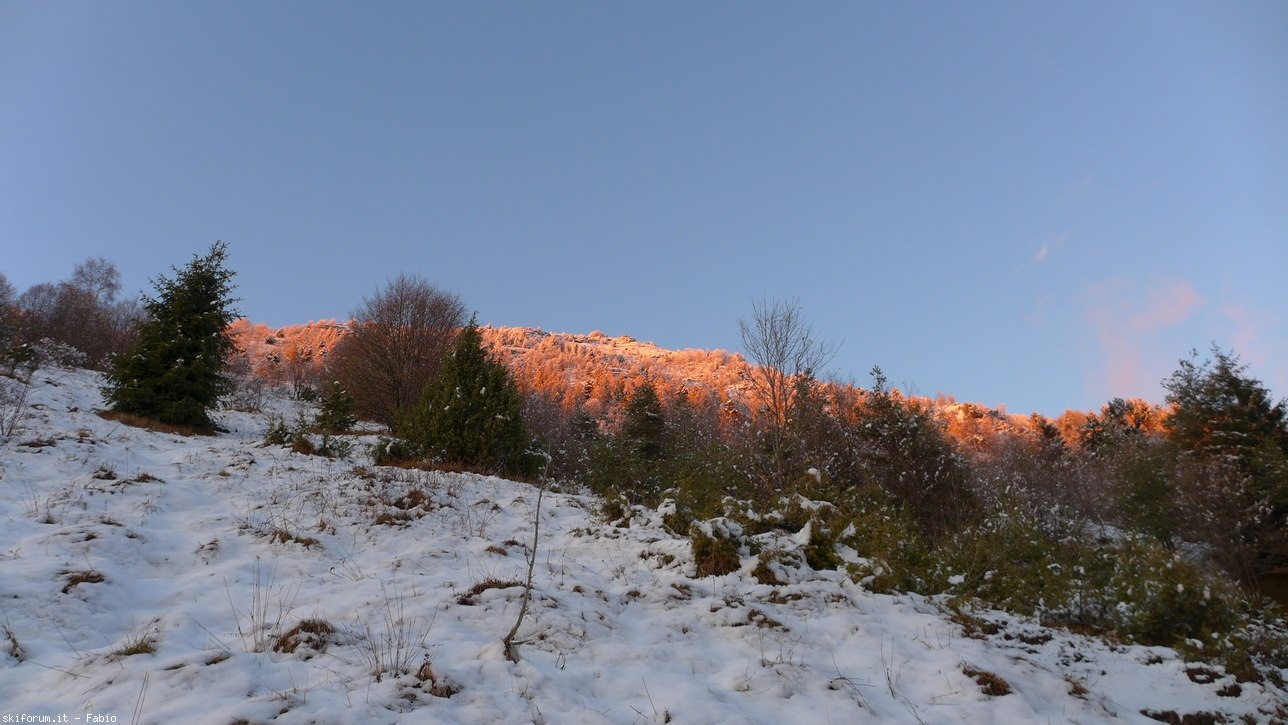 204258-prealpi-neve-04.jpg